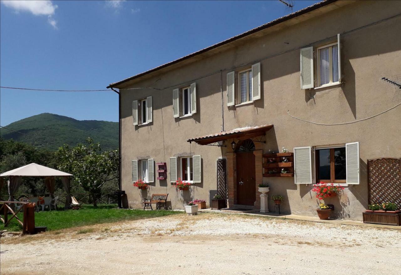 Alle Preci Country House Santa Restituta Exterior photo